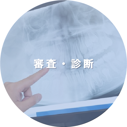 審査・診断