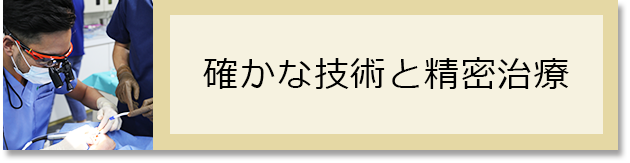 確かな技術と精密治療