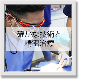 確かな技術と精密治療